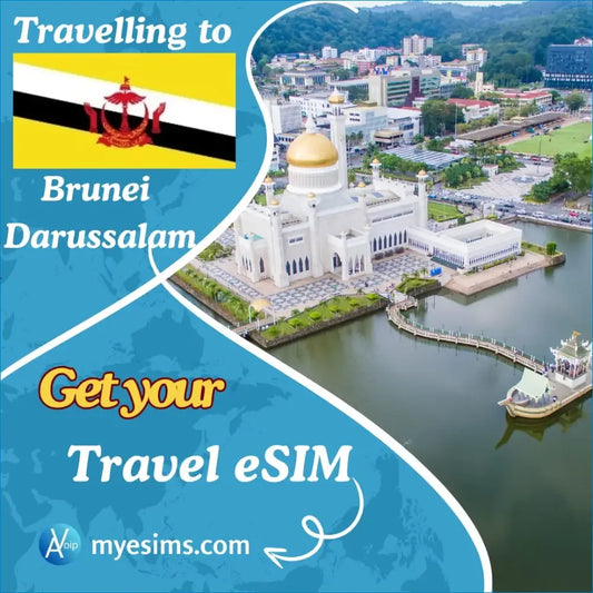 Brunei Darussalam eSIM Travel Data Roaming eSIM Connection 3G